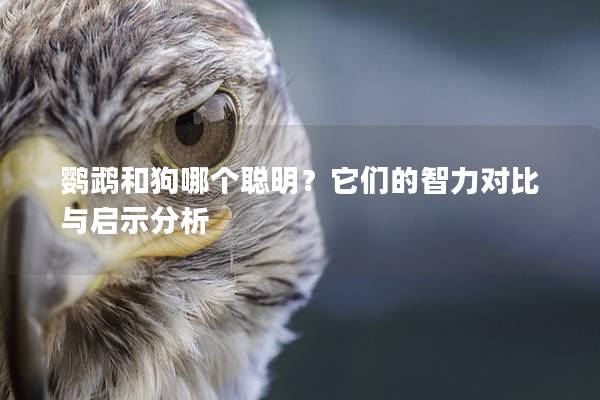 鹦鹉和狗哪个聪明？它们的智力对比与启示分析