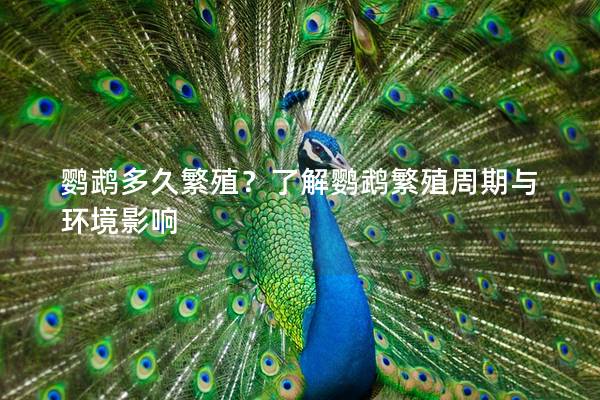 鹦鹉多久繁殖？了解鹦鹉繁殖周期与环境影响