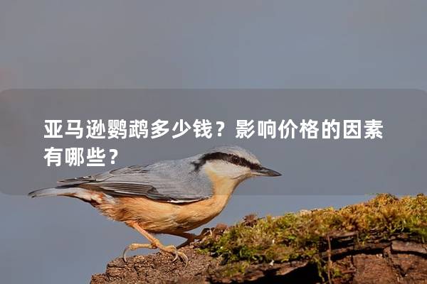 亚马逊鹦鹉多少钱？影响价格的因素有哪些？
