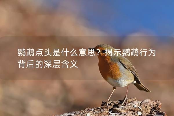 鹦鹉点头是什么意思？揭示鹦鹉行为背后的深层含义