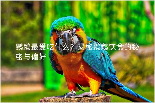 鹦鹉最爱吃什么？揭秘鹦鹉饮食的秘密与偏好