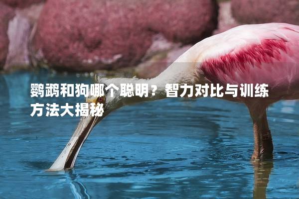 鹦鹉和狗哪个聪明？智力对比与训练方法大揭秘