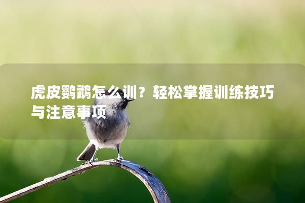 虎皮鹦鹉怎么训？轻松掌握训练技巧与注意事项