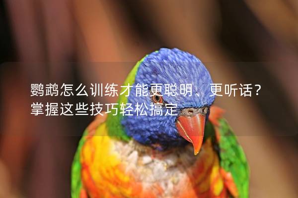 鹦鹉怎么训练才能更聪明、更听话？掌握这些技巧轻松搞定