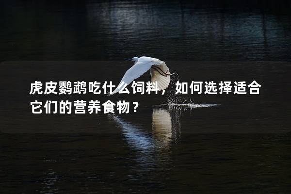 虎皮鹦鹉吃什么饲料，如何选择适合它们的营养食物？