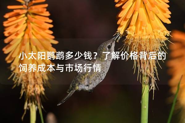 小太阳鹦鹉多少钱？了解价格背后的饲养成本与市场行情