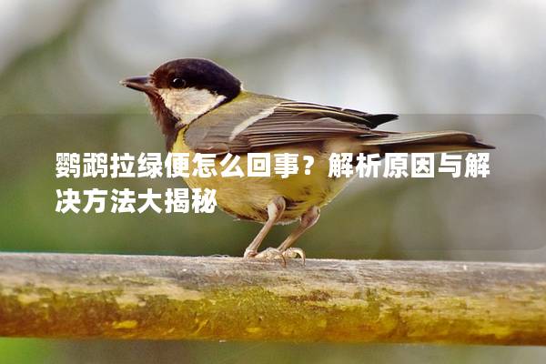 鹦鹉拉绿便怎么回事？解析原因与解决方法大揭秘