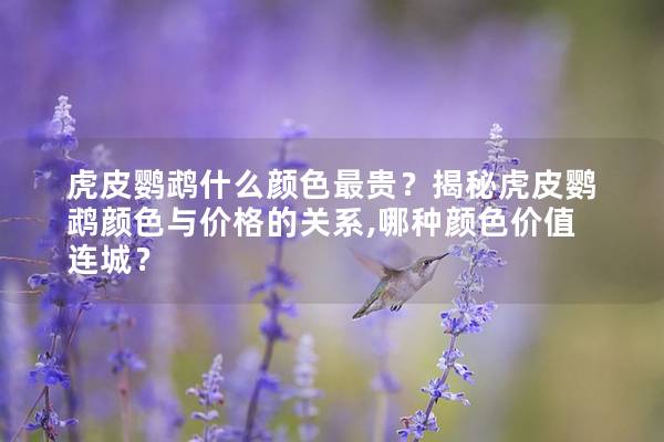 虎皮鹦鹉什么颜色最贵？揭秘虎皮鹦鹉颜色与价格的关系,哪种颜色价值连城？