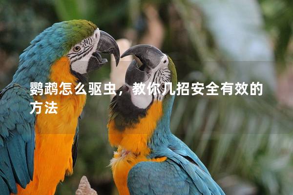 鹦鹉怎么驱虫，教你几招安全有效的方法