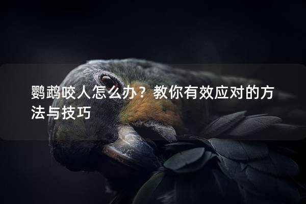 鹦鹉咬人怎么办？教你有效应对的方法与技巧