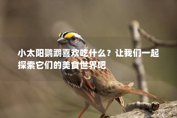 小太阳鹦鹉喜欢吃什么？让我们一起探索它们的美食世界吧