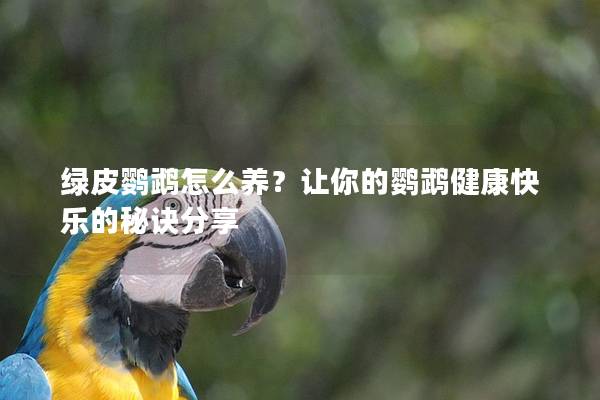 绿皮鹦鹉怎么养？让你的鹦鹉健康快乐的秘诀分享