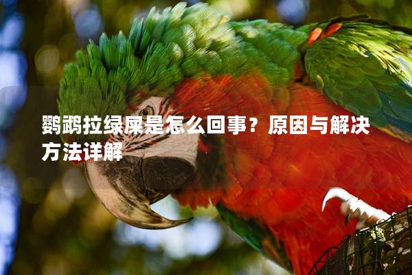 鹦鹉拉绿屎是怎么回事？原因与解决方法详解