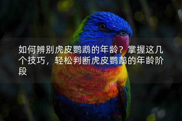 如何辨别虎皮鹦鹉的年龄？掌握这几个技巧，轻松判断虎皮鹦鹉的年龄阶段