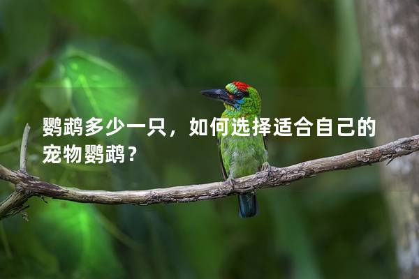 鹦鹉多少一只，如何选择适合自己的宠物鹦鹉？