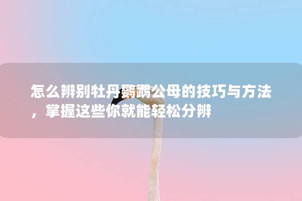 怎么辨别牡丹鹦鹉公母的技巧与方法，掌握这些你就能轻松分辨