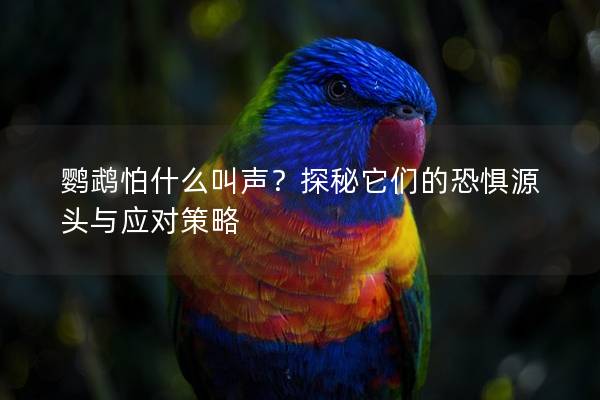 鹦鹉怕什么叫声？探秘它们的恐惧源头与应对策略