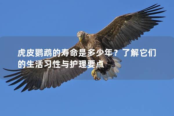 虎皮鹦鹉的寿命是多少年？了解它们的生活习性与护理要点