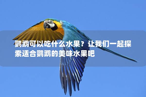 鹦鹉可以吃什么水果？让我们一起探索适合鹦鹉的美味水果吧
