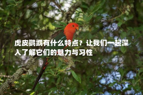虎皮鹦鹉有什么特点？让我们一起深入了解它们的魅力与习性