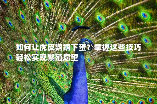 如何让虎皮鹦鹉下蛋？掌握这些技巧轻松实现繁殖愿望