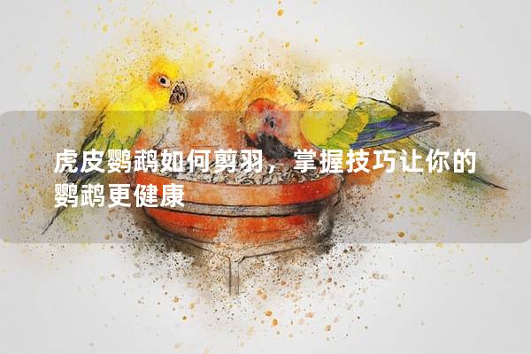 虎皮鹦鹉如何剪羽，掌握技巧让你的鹦鹉更健康