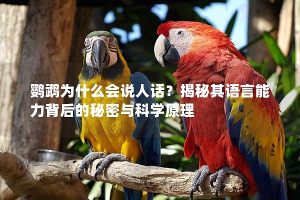 鹦鹉为什么会说人话？揭秘其语言能力背后的秘密与科学原理