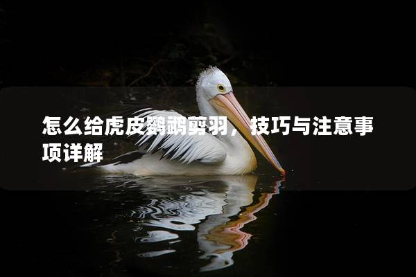 怎么给虎皮鹦鹉剪羽，技巧与注意事项详解