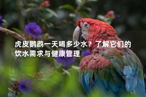 虎皮鹦鹉一天喝多少水？了解它们的饮水需求与健康管理