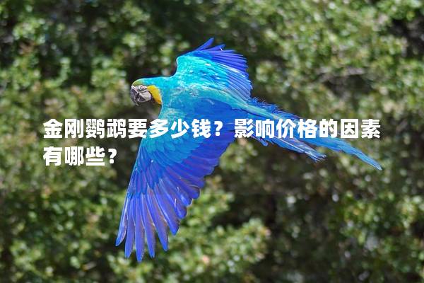 金刚鹦鹉要多少钱？影响价格的因素有哪些？