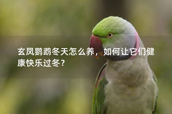 玄凤鹦鹉冬天怎么养，如何让它们健康快乐过冬？