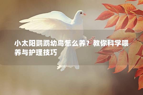 小太阳鹦鹉幼鸟怎么养？教你科学喂养与护理技巧