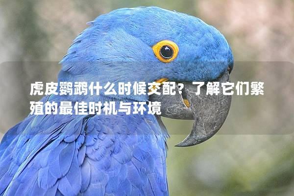 虎皮鹦鹉什么时候交配？了解它们繁殖的最佳时机与环境
