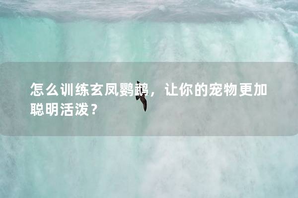 怎么训练玄凤鹦鹉，让你的宠物更加聪明活泼？