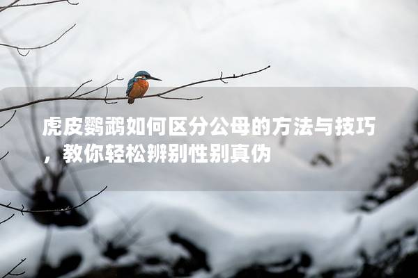 虎皮鹦鹉如何区分公母的方法与技巧，教你轻松辨别性别真伪