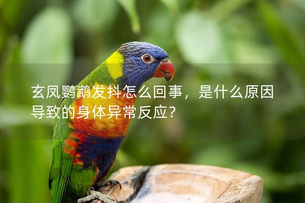 玄凤鹦鹉发抖怎么回事，是什么原因导致的身体异常反应？