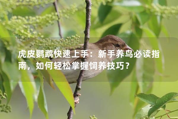 虎皮鹦鹉快速上手：新手养鸟必读指南，如何轻松掌握饲养技巧？