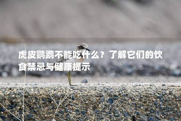 虎皮鹦鹉不能吃什么？了解它们的饮食禁忌与健康提示