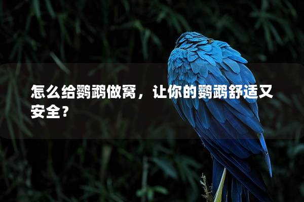 怎么给鹦鹉做窝，让你的鹦鹉舒适又安全？