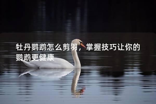 牡丹鹦鹉怎么剪羽，掌握技巧让你的鹦鹉更健康