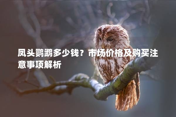 凤头鹦鹉多少钱？市场价格及购买注意事项解析