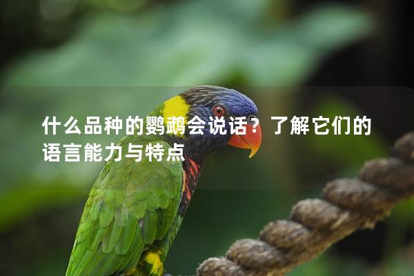什么品种的鹦鹉会说话？了解它们的语言能力与特点