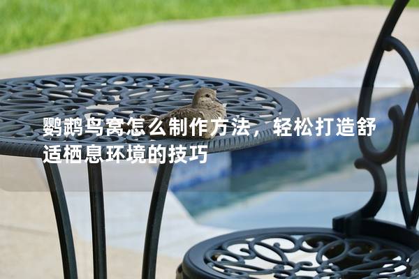鹦鹉鸟窝怎么制作方法，轻松打造舒适栖息环境的技巧