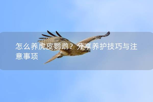 怎么养虎皮鹦鹉？分享养护技巧与注意事项