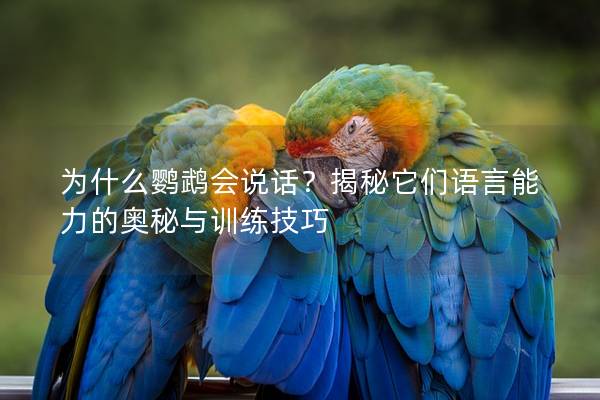 为什么鹦鹉会说话？揭秘它们语言能力的奥秘与训练技巧