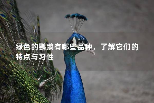 绿色的鹦鹉有哪些品种，了解它们的特点与习性