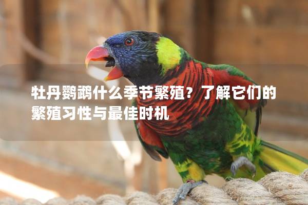 牡丹鹦鹉什么季节繁殖？了解它们的繁殖习性与最佳时机