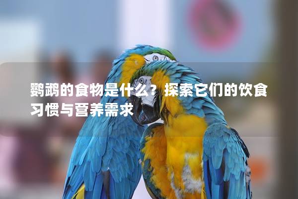 鹦鹉的食物是什么？探索它们的饮食习惯与营养需求