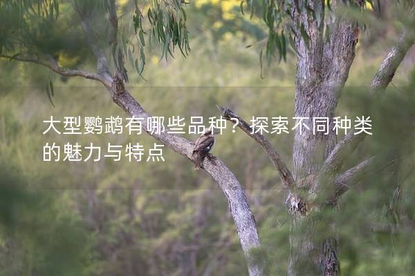 大型鹦鹉有哪些品种？探索不同种类的魅力与特点
