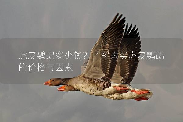 虎皮鹦鹉多少钱？了解购买虎皮鹦鹉的价格与因素